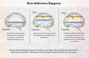 how drugs affect the brain